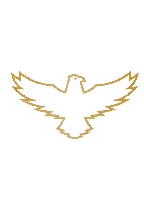 hawk symbol