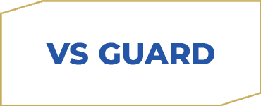 logo vsguard